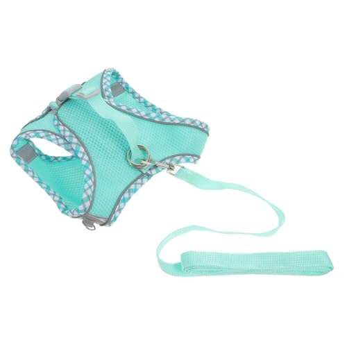 Toyvian 1 Satz Transportbox für Haustiere führen Geschirr Leine Ausbildung Haustierzubehör Hundezubehör Hundeweste Haustier Hund Zubehör Hundewelpenweste Polyester Sky-Blue von Toyvian