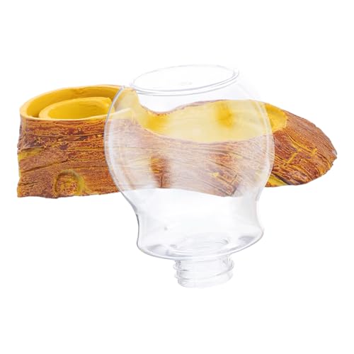 Toyvian 1 Satz Trinkbrunnen für Haustiere Reptil drinnen Schüssel Herr Lizard Drinking Tool Gecko Water Dish praktischer Wasserspender Haushaltswasserspender Glas Dark Grey von Toyvian