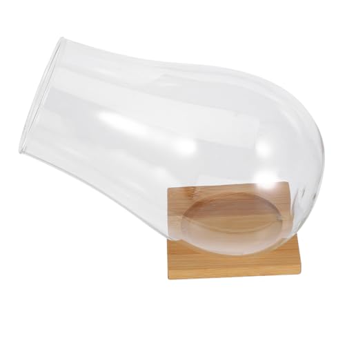 Toyvian 1 Set Anlage Terrarium Anlage Vase Terrarium Container Transparent Glas von Toyvian