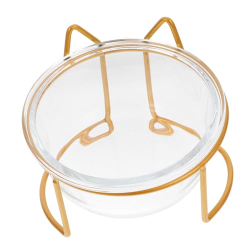 Toyvian 1 Set Hoher Katzennapf Aus Glas Für Die Pflege Von Kätzchen Im Innenbereich Erhöhter Einzelspeicher Erhöhte Katzen Katzennäpfe Haustiernapf Hoher Boden Futternapf Für von Toyvian