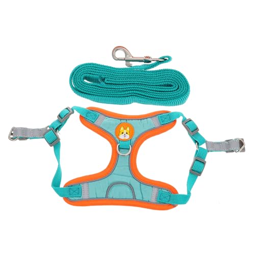 Toyvian 1 Set Hundegeschirre Hundewanderzubehör Training Für Hunde Hundezubehör Große Robuste Leine Welpentraining Haustiere Kleine Hundegeschirrgurte Gepolstert Verstellbares Rückentuch Toyvian 1 Set Hundegeschirre Hundewanderzubehör Training Für Hunde Hundezubehör Große Robuste Leine Welpentraining Haustiere Kleine Hundegeschirrgurte Gepolstert Verstellbares Rückentuch von Toyvian