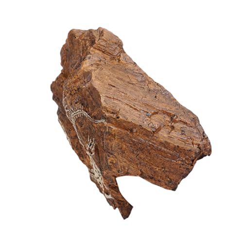 Toyvian 1 Stück Aquarium Dekoration Lifelike Simulation Skull Stone Statue für Fischbehälter Sicheres und Haltbares Ornament für Terrarien und Aquarien für Kreative Unterwasserlandschaften Toyvian 1 Stück Aquarium Dekoration Lifelike Simulation Skull Stone Statue für Fischbehälter Sicheres und Haltbares Ornament für Terrarien und Aquarien für Kreative Unterwasserlandschaften von Toyvian
