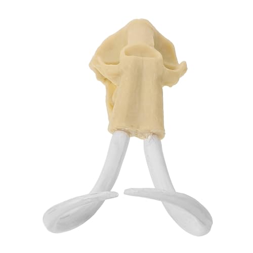 Toyvian 1 Stück Aquarium Dekoration Mammutkopf Skull Ornament für Fischtank Langlebige Harzlandschaftsdeko Details für Unterwasserlandschaften Sorgt für Aquarium von Toyvian