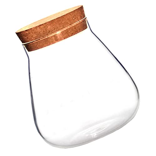 Toyvian 1 Stück Glasflasche Ornamente Topfpflanzen künstliche Dekoration Pflanzgefäße aus Glas Tabletop -Pflanzer Mooskugelpflanze Glasterrarien für Pflanzen Flaschenverschluss Kork Braun von Toyvian