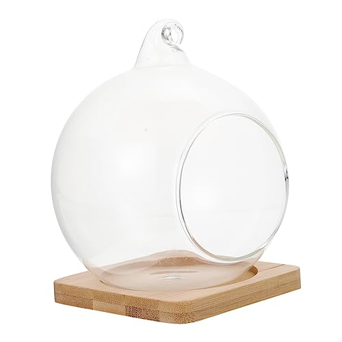 Toyvian 1 Stück Hängendes Landschafts Terrarium Glasflasche für DIY Dekoration mit Bambusunterlage und Zufälligem Haken für Schlafzimmer Wohnzimmer und Bürogestaltung Toyvian 1 Stück Hängendes Landschafts Terrarium Glasflasche für DIY Dekoration mit Bambusunterlage und Zufälligem Haken für Schlafzimmer Wohnzimmer und Bürogestaltung von Toyvian
