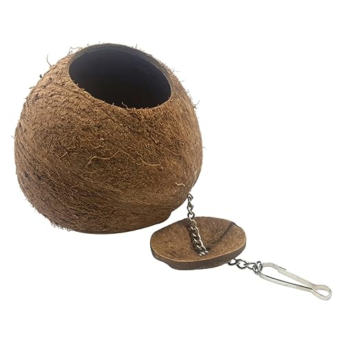 Toyvian 1 Stück Kokosnussschalen-Vogelnest Haustier Papagei Vogel für Sittiche drinnen Zucht hängend klein züchten Nester Nest für Sittiche Kokosnussschalennest Kokosnuss-Vogelhaus Bambus von Toyvian