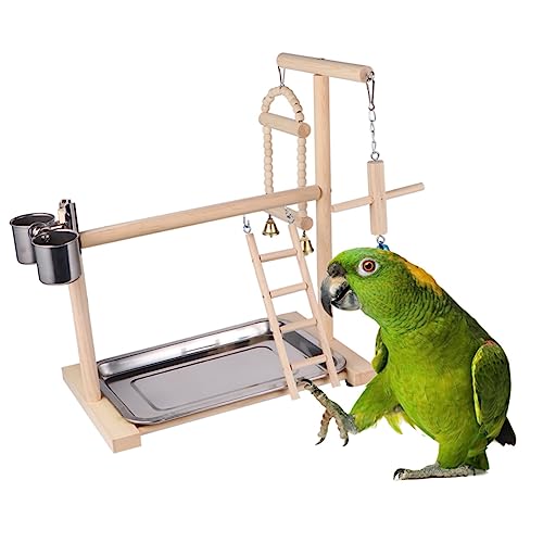 Toyvian 1 Stück Papageienständer hängend Vogelspielzeug Spielplatz Papageienspielzeug Sittiche lustig Stand Papageienhängespielzeug Vögel schaukeln Hölzern Beige Zufällige Farbe Toyvian 1 Stück Papageienständer hängend Vogelspielzeug Spielplatz Papageienspielzeug Sittiche lustig Stand Papageienhängespielzeug Vögel schaukeln Hölzern Beige Zufällige Farbe von Toyvian