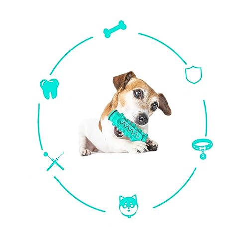 Toyvian 1 Stück Spielzeugschleifenstäbchen Reinigung Welpe Hundekauspielzeug Zähneputzkauen Für Hunde Hundespielzeug Schleifspielzeug Für Hunde Hundezubehör Haustier Beissen Blau Toyvian 1 Stück Spielzeugschleifenstäbchen Reinigung Welpe Hundekauspielzeug Zähneputzkauen Für Hunde Hundespielzeug Schleifspielzeug Für Hunde Hundezubehör Haustier Beissen Blau von Toyvian