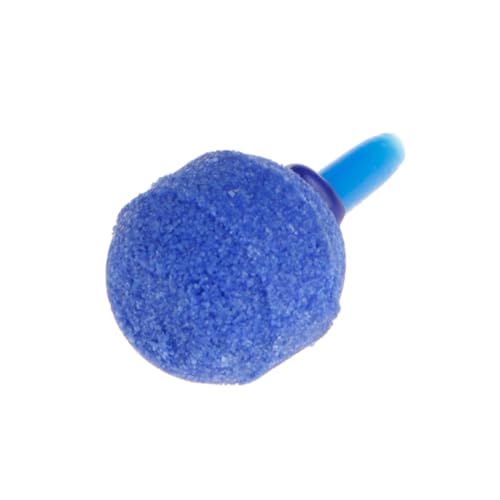 Toyvian 10 Stück Luftstein für Aquarien Blasen Diffusor aus Mineralien für Optimale Sauerstoffversorgung im Fischbecken und Hydroponik Blau Toyvian 10 Stück Luftstein für Aquarien Blasen Diffusor aus Mineralien für Optimale Sauerstoffversorgung im Fischbecken und Hydroponik Blau von Toyvian