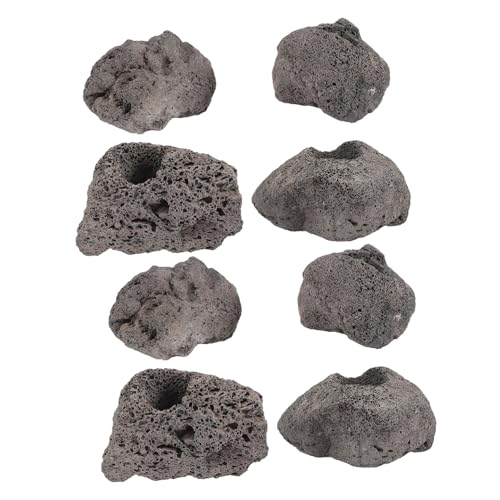 Toyvian 10 Stück Teiliges Aquarium Vulkanstein Dekor Pflanzenhalter Fischbecken Deko Schwarz Unterwasserlandschaft Lebendige Aquarienpflanzen Fixierung Fischversteck Toyvian 10 Stück Teiliges Aquarium Vulkanstein Dekor Pflanzenhalter Fischbecken Deko Schwarz Unterwasserlandschaft Lebendige Aquarienpflanzen Fixierung Fischversteck von Toyvian
