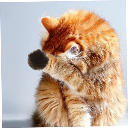 Toyvian 10 Stück Teiliges Katzenspielzeug Bunte Flauschige Pom Pom Bälle Leicht für Kätzchen Natürliche Instinkte und Bewegungsspielzeug Zufällige Farbe Zufällige Farbe von Toyvian