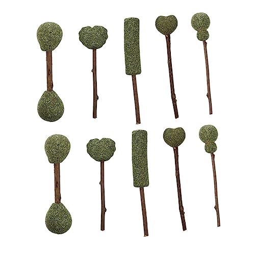 Toyvian 10 Stück Teiliges Natürliche Katzenminze Sticks Essbare Katzenspielzeuge und Snacks Fördert Bewegung und Spielspaß Geeignet für Katzen und Kätzchen Vielseitig Einsetzbar im von Toyvian