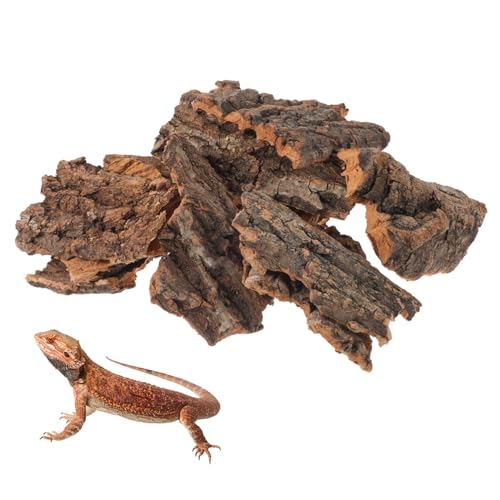 Toyvian 14 Stück Tier versteckte Hütte Zucht klettert auf Baumrinde Gecko Plattform Reptilien Versteck Terrarium Dekoration Baumrinde für Reptilien Reptilienbaumrinde Light Brown von Toyvian