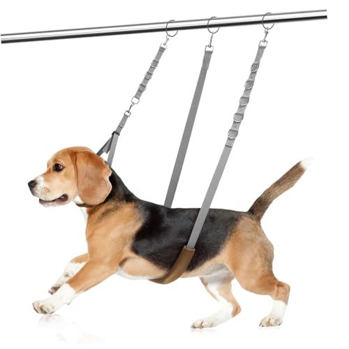 Toyvian 1Satz Hundepflege Rückhaltegurte Verstellbare Bauchgurte Für Haustiere Multifunktionale Pflegeleinen Mit Drehclip Für Hundefriseure Und Pflegeanwendungen Toyvian 1Satz Hundepflege Rückhaltegurte Verstellbare Bauchgurte Für Haustiere Multifunktionale Pflegeleinen Mit Drehclip Für Hundefriseure Und Pflegeanwendungen von Toyvian
