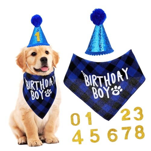 Toyvian 1Satz Kostüm Festliches Bandana Und Partyhut Für Dekoration Für Hundegeburtstagsfeiern Lebendige Und Einzigartiges Design von Toyvian