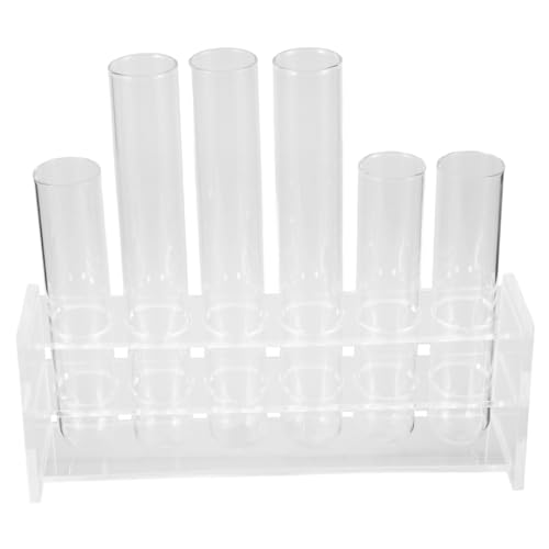 Toyvian 1Satz Pflanzenvermehrungsröhren Testrohre für Pflanzen mit Kunststoffgestell Stilvolle Hydrokultur Vase für Zimmerpflanzen Dekoratives Terrarium Toyvian 1Satz Pflanzenvermehrungsröhren Testrohre für Pflanzen mit Kunststoffgestell Stilvolle Hydrokultur Vase für Zimmerpflanzen Dekoratives Terrarium von Toyvian