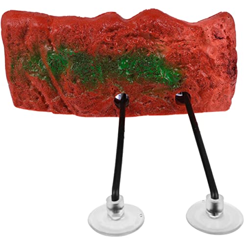 Toyvian 1Satz Schildkröten Lifting Aus Harz Multifunktionale Fischtankdekoration Für Aquarien Und Terrarien Sonnenbadeplatz Und Spielplatz Für Reptilien von Toyvian