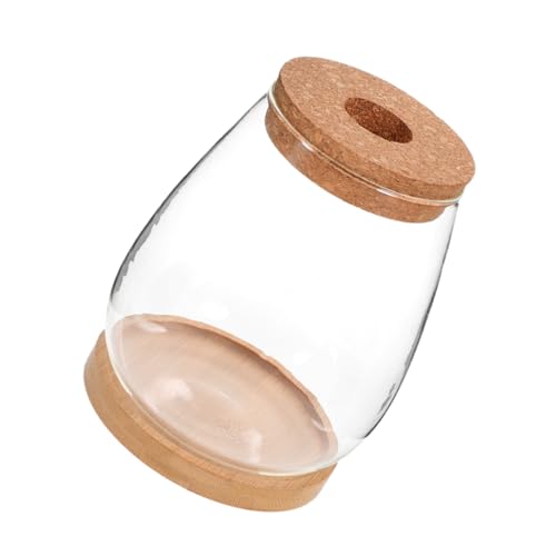 Toyvian Terrarienglas Mit Deckel Kleines Glasterrarium Für Pflanzen Glasgefäß Als Behälter Für Hydrokulturpflanzen Pflanzenterrarium Aus Glas Toyvian Terrarienglas Mit Deckel Kleines Glasterrarium Für Pflanzen Glasgefäß Als Behälter Für Hydrokulturpflanzen Pflanzenterrarium Aus Glas von Toyvian