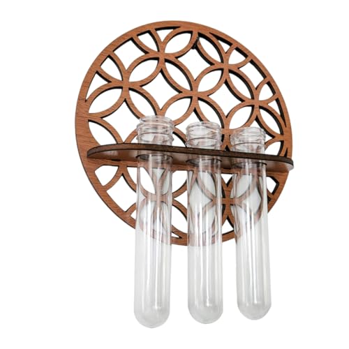 Toyvian 1Satz Wand Hydrokultur Pflanzgefäß mit Holzständer Reagenzglasvase für Wasserpflanzen Terrarium zur Raumdekoration für Wohnzimmer und Schlafzimmer Toyvian 1Satz Wand Hydrokultur Pflanzgefäß mit Holzständer Reagenzglasvase für Wasserpflanzen Terrarium zur Raumdekoration für Wohnzimmer und Schlafzimmer von Toyvian
