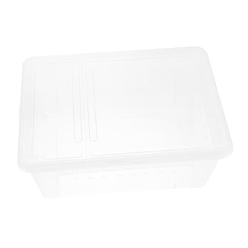 Toyvian 1Stück Reptilien Haustierbox aus Kunststoff Transparente Reptilzuchtbox für Spinnen Skorpione Schlangen Schildkröten und Geckos für Transport und Aufzucht mit Luftlöchern Toyvian 1Stück Reptilien Haustierbox aus Kunststoff Transparente Reptilzuchtbox für Spinnen Skorpione Schlangen Schildkröten und Geckos für Transport und Aufzucht mit Luftlöchern von Toyvian