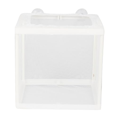 Toyvian 2 STÜCK Fischzucht Isolation Box mit Saugnapf Kleines Aufzuchtbecken für Aquarium Transparente Fischbrutbox zur Zucht und Trennung Kleiner Fische Einfache Farbe Toyvian 2 STÜCK Fischzucht Isolation Box mit Saugnapf Kleines Aufzuchtbecken für Aquarium Transparente Fischbrutbox zur Zucht und Trennung Kleiner Fische Einfache Farbe von Toyvian