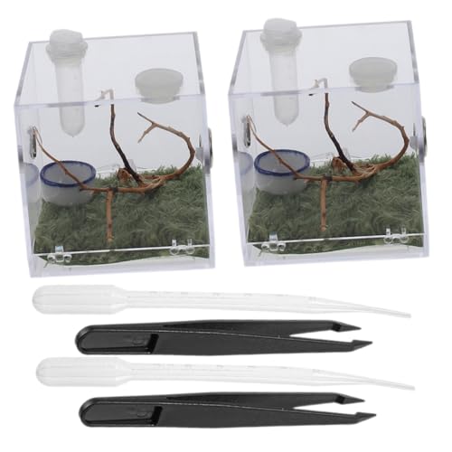 Toyvian 2 Sätze Transparenter Zuchtkäfig Teiliges mit Pinzette und Tropfer Stabiles Reptilien und Springspinnen Gehege Leichtes Escape Case für Kleine Terrarien und Aufzuchtdosen Toyvian 2 Sätze Transparenter Zuchtkäfig Teiliges mit Pinzette und Tropfer Stabiles Reptilien und Springspinnen Gehege Leichtes Escape Case für Kleine Terrarien und Aufzuchtdosen von Toyvian