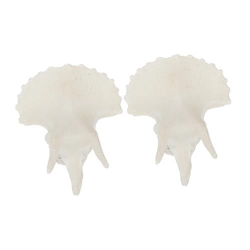 Toyvian 2 Stück Aquarium Ornamente Künstlerische Aquarium Dekorationen Dekorative Aquarium Dekorationen Aquarium Ornamente Zubehör Fisch Dekorationen Dose Aquarium Dekoration Toyvian 2 Stück Aquarium Ornamente Künstlerische Aquarium Dekorationen Dekorative Aquarium Dekorationen Aquarium Ornamente Zubehör Fisch Dekorationen Dose Aquarium Dekoration von Toyvian