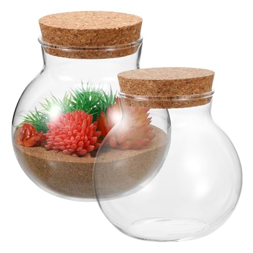 Toyvian 2 Stück Eco-Flasche Terrarium mit Deckel für Pflanzen wachsend Kugelpflanzen Terrarium Pflanzenterrariengläser Terrarienbehälter Pflanzgefäß-Terrarium Glas Toyvian 2 Stück Eco-Flasche Terrarium mit Deckel für Pflanzen wachsend Kugelpflanzen Terrarium Pflanzenterrariengläser Terrarienbehälter Pflanzgefäß-Terrarium Glas von Toyvian