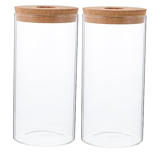 Toyvian 2 Stück Glas Öko Flasche Terrarium Moospflanzenflasche Mikrolandschaftsflasche Moos Landschaftsbau Flasche Glasflasche Moos Landschaftsbehälter Moospflanzenbehälter Toyvian 2 Stück Glas Öko Flasche Terrarium Moospflanzenflasche Mikrolandschaftsflasche Moos Landschaftsbau Flasche Glasflasche Moos Landschaftsbehälter Moospflanzenbehälter von Toyvian