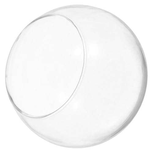 Toyvian 2 Stück Glasfischtank Fleischig Hochzeit Moos Terrariumbehälter Terrarium Pflanzentopf Flasche Pflanzenbehälter Terrarienglas Dekoration Landschaft Terrarium Pflanzenterrarium Toyvian 2 Stück Glasfischtank Fleischig Hochzeit Moos Terrariumbehälter Terrarium Pflanzentopf Flasche Pflanzenbehälter Terrarienglas Dekoration Landschaft Terrarium Pflanzenterrarium von Toyvian