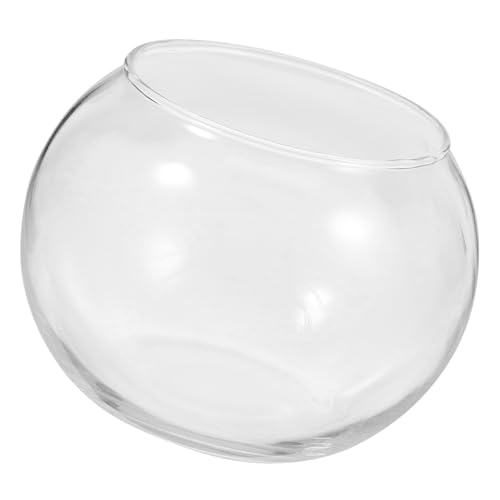 Toyvian 2 Stück Glasfischtank fleischig lebendes Moos Terrarienglas drinnen Flasche Landschaft Terrarium Pflanzterrarien Pflanzgefäß Glastank Landschaftsbehälter Terrarium Blumentopf Toyvian 2 Stück Glasfischtank fleischig lebendes Moos Terrarienglas drinnen Flasche Landschaft Terrarium Pflanzterrarien Pflanzgefäß Glastank Landschaftsbehälter Terrarium Blumentopf von Toyvian