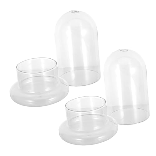 Toyvian 2 Stück Glaslandschaftsflasche DIY Dekorationsflasche für Moos und Pflanzenlandschaften Langlebig Borosilikatglas für Schlafzimmer Wohnzimmer Toyvian 2 Stück Glaslandschaftsflasche DIY Dekorationsflasche für Moos und Pflanzenlandschaften Langlebig Borosilikatglas für Schlafzimmer Wohnzimmer von Toyvian