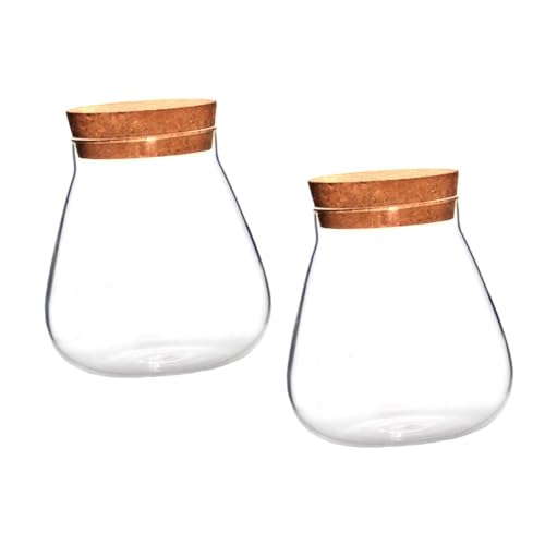 Toyvian 2 Stück Korkglasflasche Mikrolandschaftsvase Mikrolandschaftsflasche Mikrolandschaftsglas Ökologische Flasche Vorratsflasche Glasverschluss Kanister Landschaftsglas von Toyvian