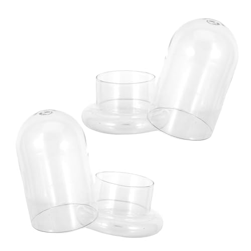 Toyvian 2 Stück Landschaftsflaschen aus Hochwertigem Borosilikatglas Ökologische Moos Deko mit Öffnung DIY Glasflasche für Flaschengarten und Geschenkdekoration von Toyvian