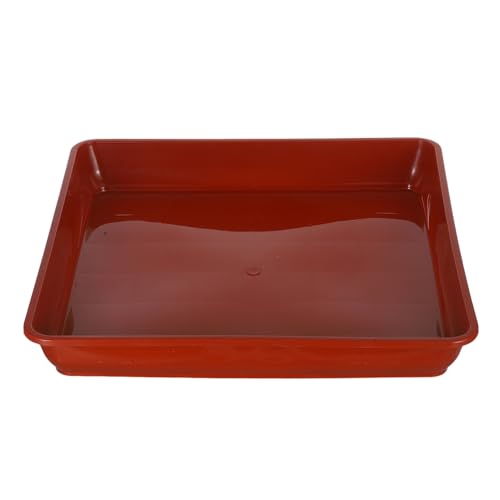 Toyvian 2 Stück Robuste Kunststoffuntersetzer für Blumentöpfe für Bonsai Sukkulenten und Pflanzenpflege im und Außenbereich Toyvian 2 Stück Robuste Kunststoffuntersetzer für Blumentöpfe für Bonsai Sukkulenten und Pflanzenpflege im und Außenbereich von Toyvian