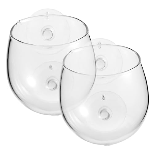 Toyvian 2 Stück Teiliges Aquarium Pflanzenhalter aus Klarem Borosilikatglas mit Saugnäpfen Schräger für Lichtaufnahme Belüftete Pflanzbecher zur Sauerstoffzirkulation für von Toyvian