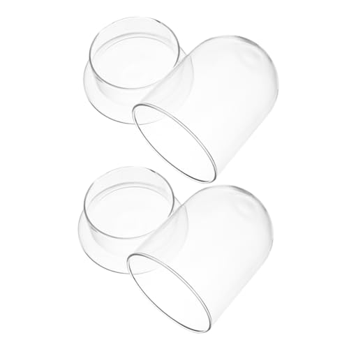 Toyvian 2 Stück Terrarium Glasflaschen mit Deckel Klare Pflanzgefäße für DIY Moos Dekorative Glasflaschen Kompakte Natürliche Raumdekoration Geschenkidee Toyvian 2 Stück Terrarium Glasflaschen mit Deckel Klare Pflanzgefäße für DIY Moos Dekorative Glasflaschen Kompakte Natürliche Raumdekoration Geschenkidee von Toyvian