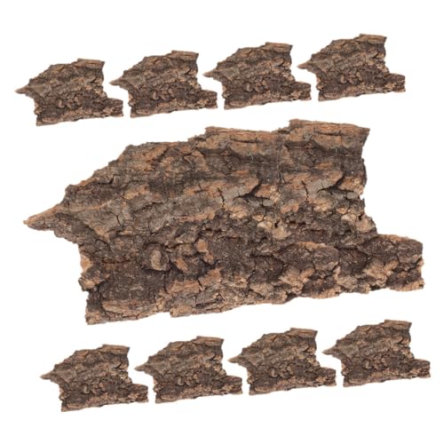 Toyvian 20 Stück Teiliges Terrarium Dekoration aus Rinde für Reptilien Natürliche Langlebig und Sicher für Eidechsen und Schildkröten Toyvian 20 Stück Teiliges Terrarium Dekoration aus Rinde für Reptilien Natürliche Langlebig und Sicher für Eidechsen und Schildkröten von Toyvian