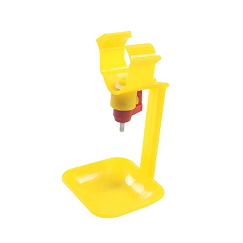 Toyvian 20stücke Automatische Geflügeltränke Aus Kunststoff Hängen Tasse Trinker Für Hühner Gänse Langlebige Tränke Für Hühnerfarmen Wasserspar Trinkschale Für Geflügel Toyvian 20stücke Automatische Geflügeltränke Aus Kunststoff Hängen Tasse Trinker Für Hühner Gänse Langlebige Tränke Für Hühnerfarmen Wasserspar Trinkschale Für Geflügel von Toyvian