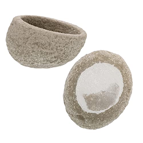 Toyvian 2Stücke Harz Lebensmittel Feeder für Reptilien Design für Futter und Wasser von Eidechsen Spinnen und Anderen Kleinen Tieren Toyvian 2Stücke Harz Lebensmittel Feeder für Reptilien Design für Futter und Wasser von Eidechsen Spinnen und Anderen Kleinen Tieren von Toyvian