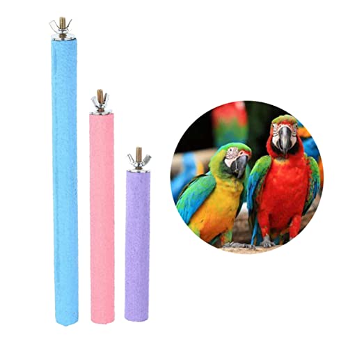 Toyvian 3 Stück Papageienspielständer Papageienbarsch Papagei Seilen von Vogelbarsch Schleifstab Käfig Sitzstangen Vogelspielzeug Nahrungssuche Vogel Stehen Hölzern von Toyvian