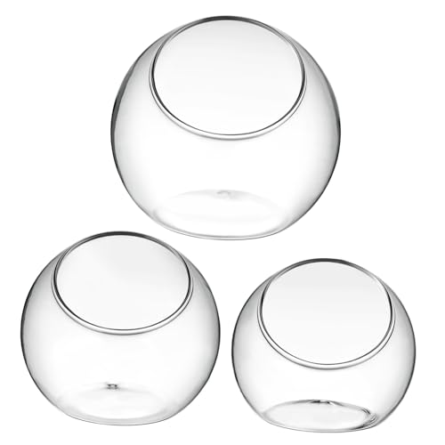 Toyvian 3 Teiliges Glasvase Terrarium mit Großer Öffnung Transparente Runde Pflanzgefäße für Hydrokultur Geeignet für Sukkulenten Luftpflanzen Bromelien Schreibtisch und Tischdeko von Toyvian