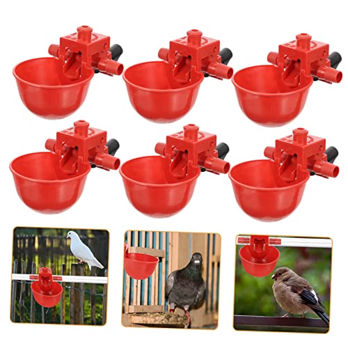 Toyvian 30 Stück Automatische Trinkschale Hühnertrinksystem Hühnerwassertrinker Automatische Hühnertränke Taubentrinkbecher Vogel Wasserschale Wasserspender für Vögel rot Zufällige Farbe von Toyvian