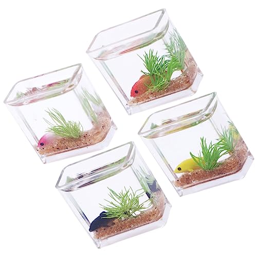 Toyvian 4 Stück Mini-fischglas Mini-aquariumbecken Mini-fischschalen Aus Glas Puppenhaus-Aquarium Aus Kunstharz Mini Runde Fischschalen Miniatur-Aquarium Esstisch Kleine Dinge Haushalt von Toyvian