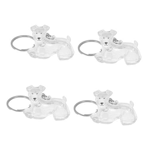 Toyvian 4 Stück Teiliges Transparentes Hundememoriam Schlüsselanhänger Aufbewahrungsbox für Tierhaare Praktischer und Sicherer Schmuckanhänger für Tasche und Schlüsselbund Emotionales von Toyvian