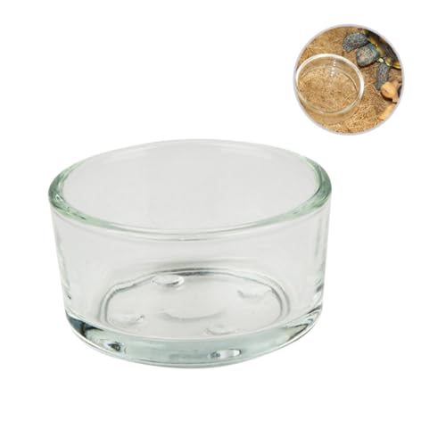 Toyvian 4 Stück Transparente Futterschalen aus Dickem für Reptilien Wassernapf und Terrarium Geeignet Leicht zu Reinigen für Eidechsen Skorpione und Kleine Reptilien Toyvian 4 Stück Transparente Futterschalen aus Dickem für Reptilien Wassernapf und Terrarium Geeignet Leicht zu Reinigen für Eidechsen Skorpione und Kleine Reptilien von Toyvian