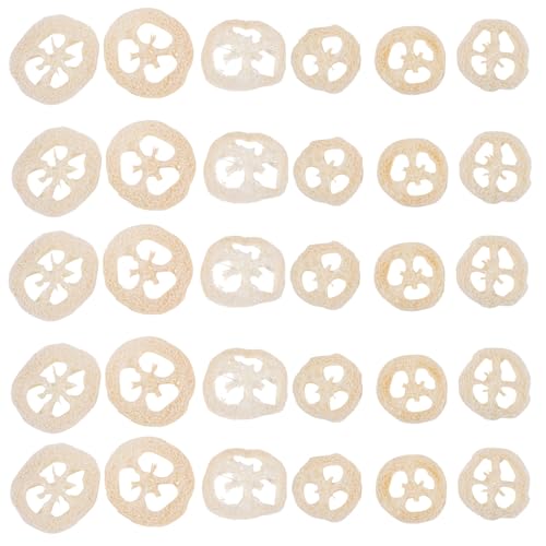 Toyvian 40 Stück Luffa-Scheiben, Kauspielzeug für Haustiere, Luffa-Backenzahn-Spielzeug für Kleintiere, Hamster, Ratten, Hasen, Chinchillas und Rennmäuse, Backenzahn-Leckerlis Toyvian 40 Stück Luffa-Scheiben, Kauspielzeug für Haustiere, Luffa-Backenzahn-Spielzeug für Kleintiere, Hamster, Ratten, Hasen, Chinchillas und Rennmäuse, Backenzahn-Leckerlis von Toyvian