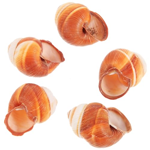 Toyvian 5 Stück Teiliges Natürliche Essbare Escargot Schneckenschalen Sichere Dicke Schneckenhäuser mit Glatter Oberfläche zum Backen und Servieren von Schnecken für Küche und Restaurant von Toyvian
