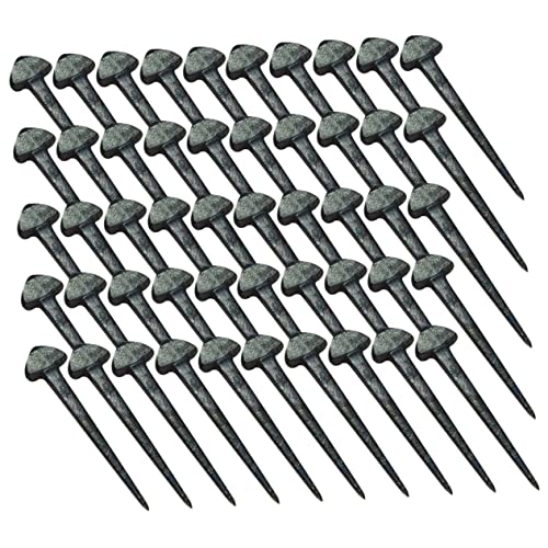 Toyvian 50 Stück Hufeisennägel für Pferde Eisen Nägel Austauschbare Hufnägel Hochwertiges Zubehör für Pferdepflege und Hufschmiedewerkzeuge Toyvian 50 Stück Hufeisennägel für Pferde Eisen Nägel Austauschbare Hufnägel Hochwertiges Zubehör für Pferdepflege und Hufschmiedewerkzeuge von Toyvian