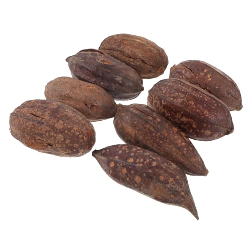 Toyvian 8stücke Dried Fruit Papageien Kauspielzeuge Natürliche Kaubedürfnisse Für Wellensittiche Andere Vögel Spielzeug Zur Futtersuche Beschäftigung von Toyvian